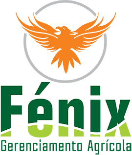 Fénix Empresas